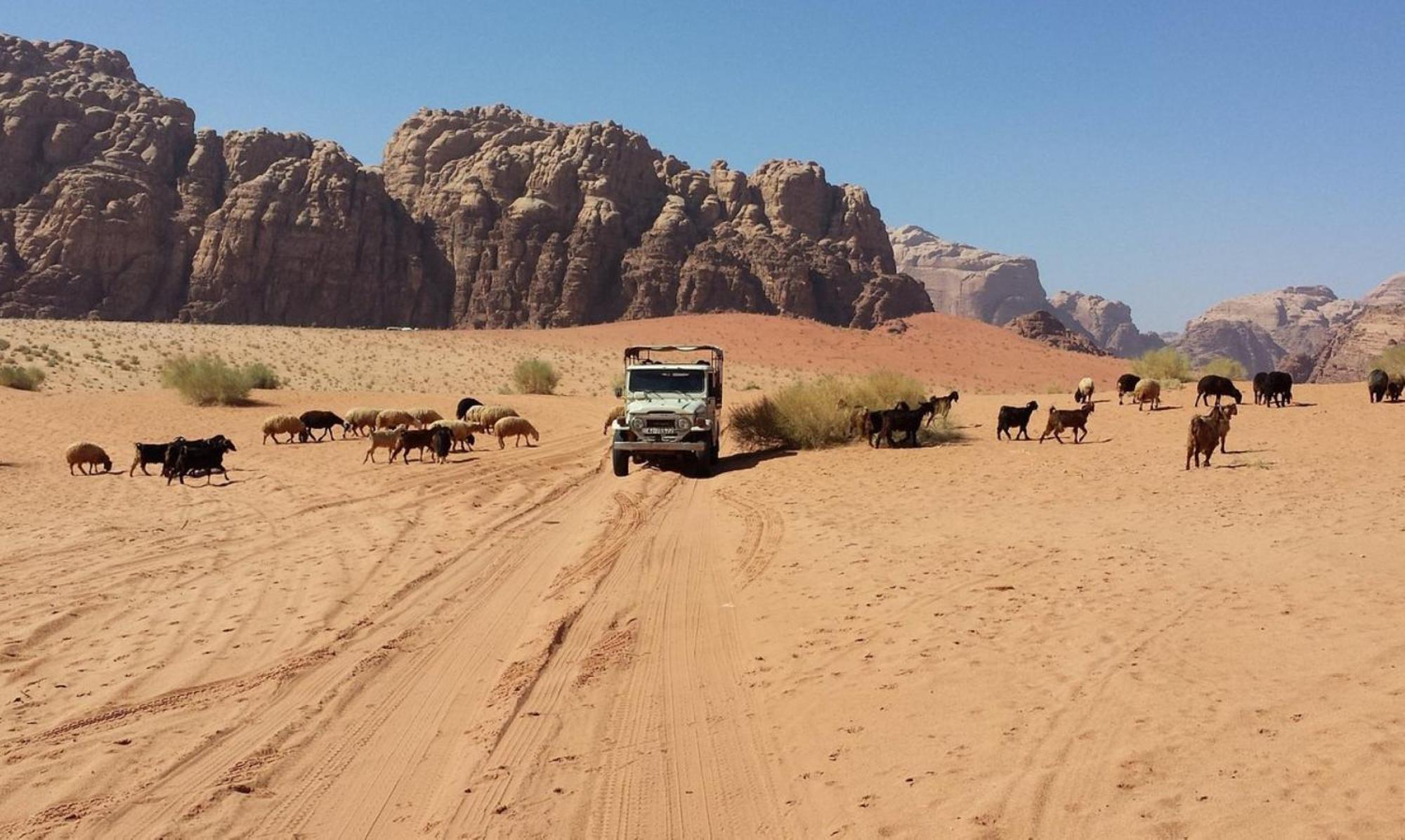 Hotel Milky Way Nights Camp Wadi Rum Exterior foto